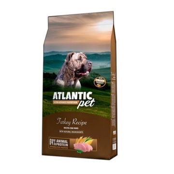 Adult Nature's Variety Selected, Pienso para Perros Adultos Medianos y  grandes, Sin cereales, con Salmón noruego sin espinas, 2kg