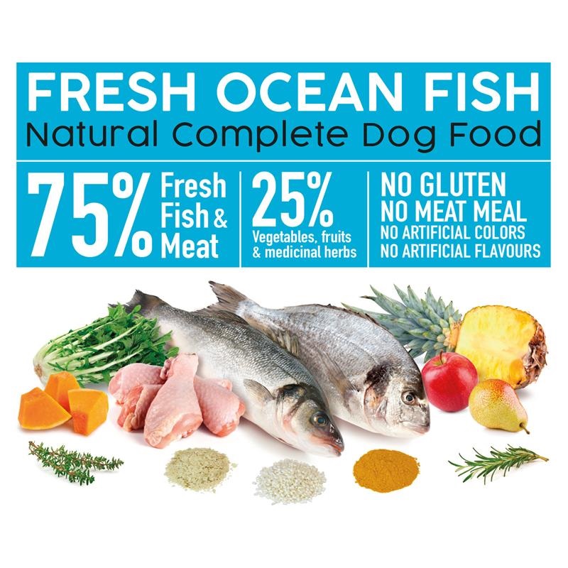 Zen Healthy Fish salmón y pescado blanco perro adulto I Zen Pet Nutrition